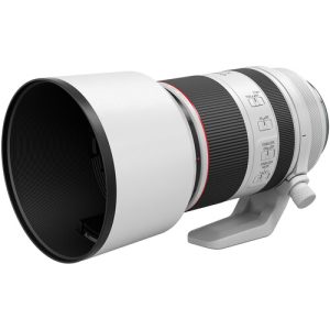 Canon RF 70-200mm lens with accessories – Hood, pouch, and caps