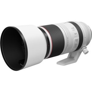 Canon RF 100-500mm f/4.5-7.1 L IS USM Lens – Telephoto Zoom for Wildlife and Sports Photography in Kenya