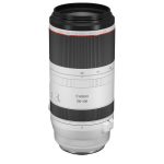 Canon RF 100-500mm f/4.5-7.1 L IS USM Lens - Image 4