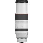 Canon RF 100-500mm f/4.5-7.1 L IS USM Lens - Image 3