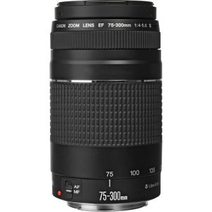 A black Canon EF 75-300mm f/4-5.6 III telephoto zoom lens with a silver ring and focus scale, mounted on a camera or displayed on a flat surface.