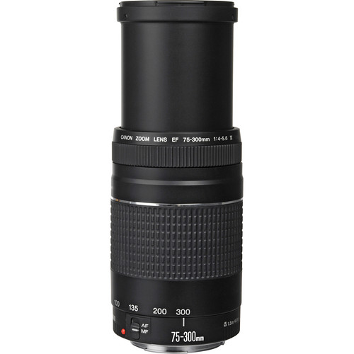 A black Canon EF 75-300mm f/4-5.6 III telephoto zoom lens with a silver ring and focus scale, mounted on a camera or displayed on a flat surface.