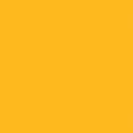 Seamless Photography Background Paper (Deep Yellow) - Image 2