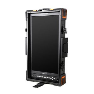 Desview V21 Vertical 21.5 inch Monitor Kenya in portrait orientation for photo editing and content creation