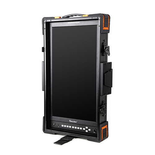 Desview V21 Vertical 21.5 inch Monitor Kenya in portrait orientation for photo editing and content creation