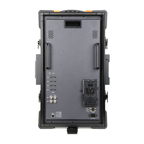 Desview V21 Vertical 21.5 inch Monitor Kenya in portrait orientation for photo editing and content creation