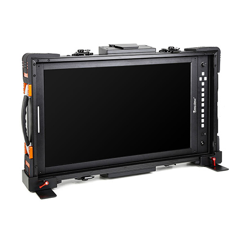 Desview V21 Vertical 21.5 inch Monitor Kenya in portrait orientation for photo editing and content creation