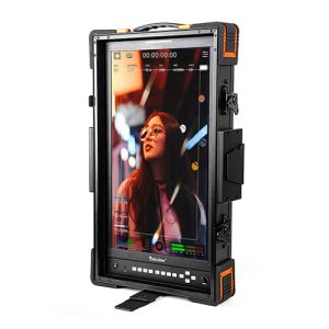 Desview V21 Vertical 21.5 inch Monitor Kenya in portrait orientation for photo editing and content creation